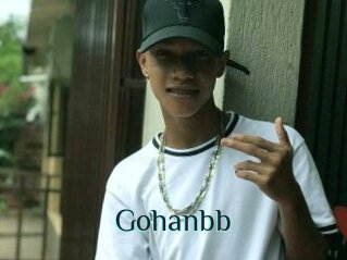 Gohanbb