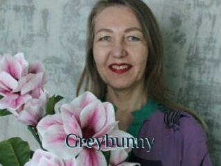 Greybunny