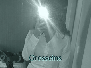 Grosseins