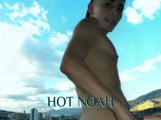 HOT_NOAH