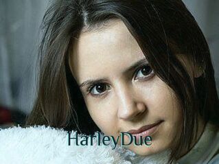 Harley_Due