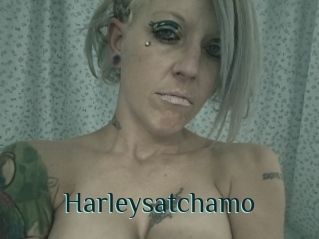 Harleysatchamo