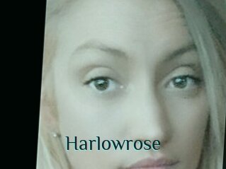Harlowrose