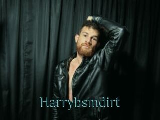 Harrybsmdirt