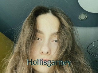 Hollisgarney