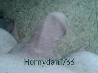 Hornydan1733