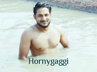 Hornygaggi