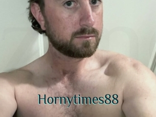 Hornytimes88