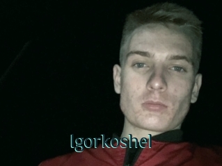 Igorkoshel