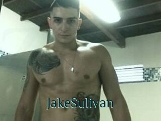 Jake_Sulivan