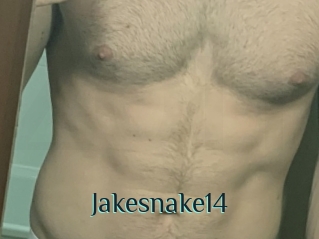 Jakesnake14