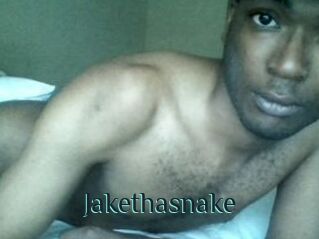Jake_tha_snake