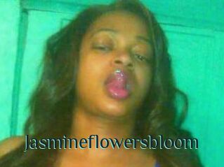 Jasmineflowersbloom