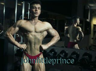 Johnlittleprince