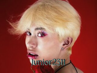 Junior2311