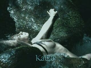 Katze