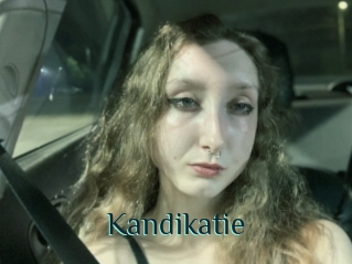 Kandikatie