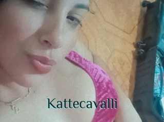 Kattecavalli