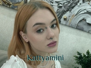 Kattyamini