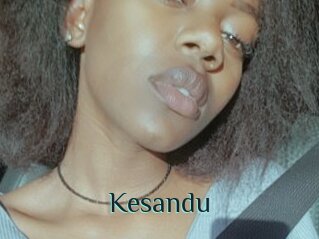 Kesandu