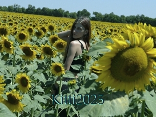 Kitti2023