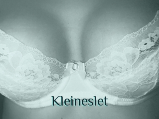 Kleineslet