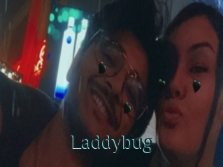 Laddybug