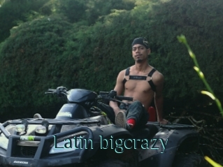 Latin_bigcrazy