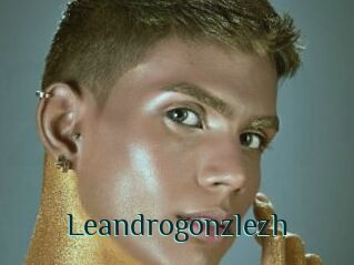 Leandrogonzlezh