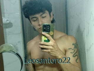 Leosantoro22