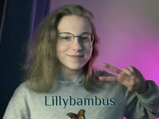 Lillybambus