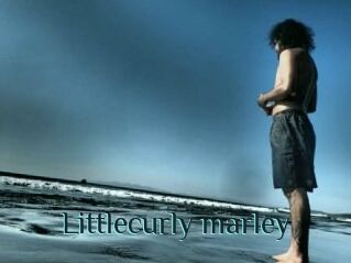 Littlecurly_marley