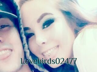 Lovebirds02477