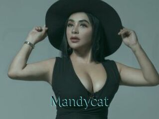 Mandycat