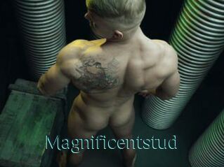 Magnificentstud