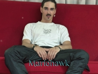 Mariohawk
