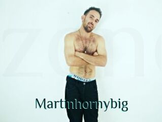 Martinhornybig