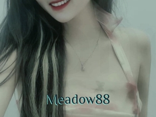Meadow88