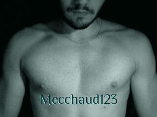 Mecchaud123