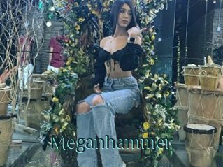 Meganhammer