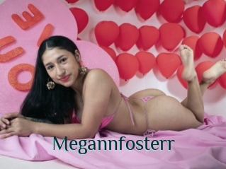 Megannfosterr
