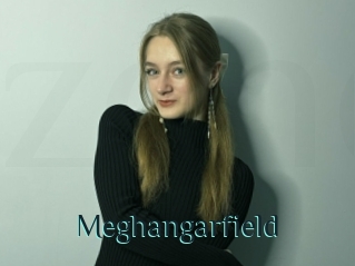Meghangarfield