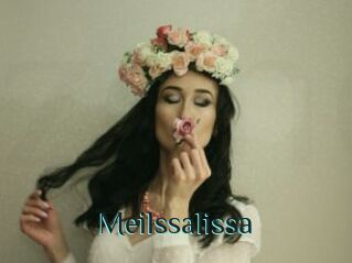 Meilssalissa