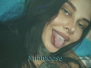 Miamoose