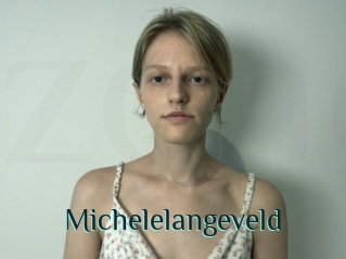 Michelelangeveld