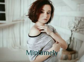 Miniamely