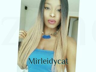 Mirleidycat