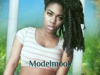 Modelmook