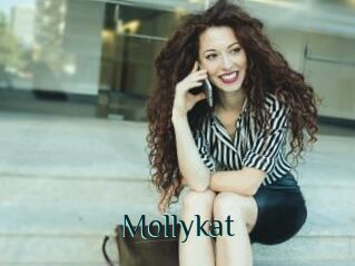 Mollykat