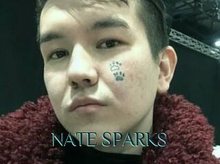 NATE_SPARKS